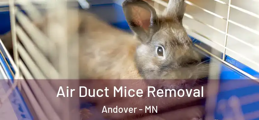  Air Duct Mice Removal Andover - MN
