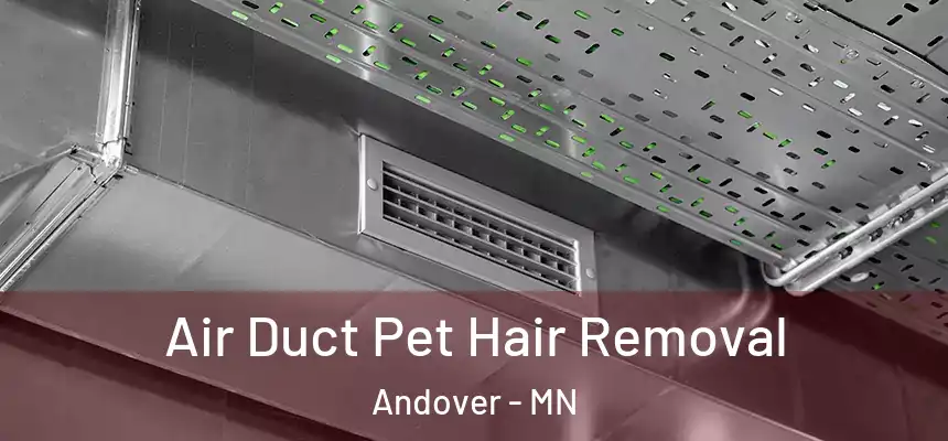 Air Duct Pet Hair Removal Andover - MN