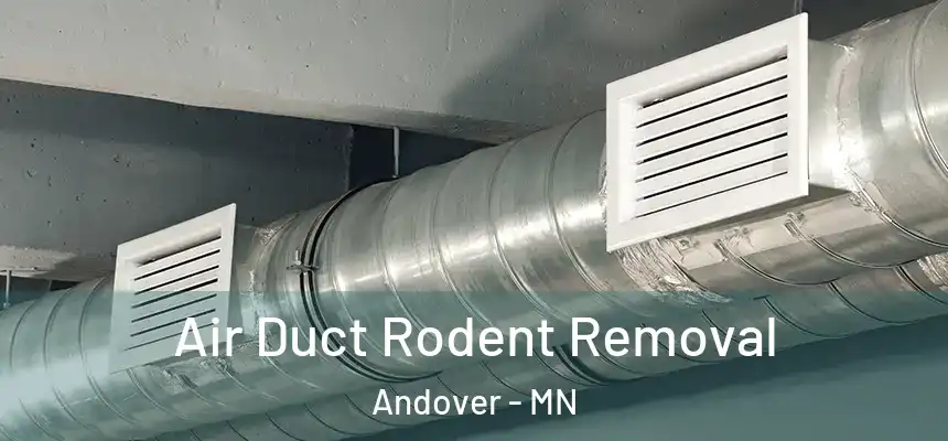  Air Duct Rodent Removal Andover - MN