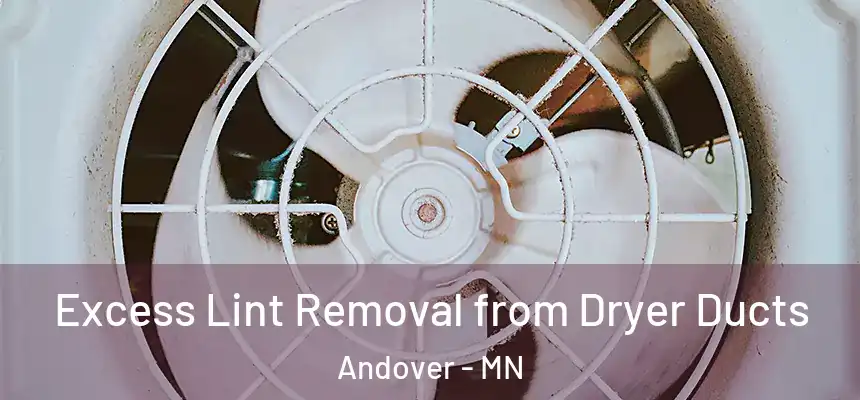 Excess Lint Removal from Dryer Ducts Andover - MN