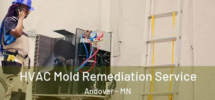 HVAC Mold Remediation Service Andover - MN