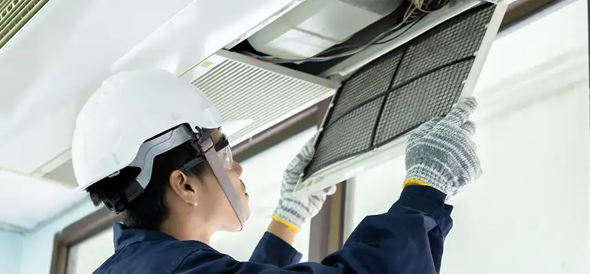 Our Lint Trap Cleaning Service Services in Andover, MN