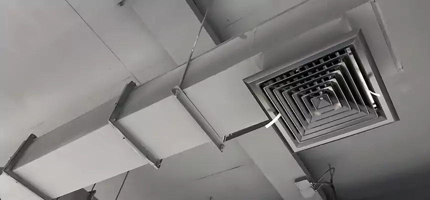 Our Rodent Droppings In Vents Services in Andover, MN