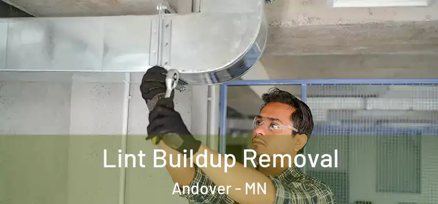 Lint Buildup Removal Andover - MN