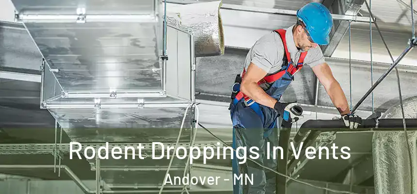 Rodent Droppings In Vents Andover - MN