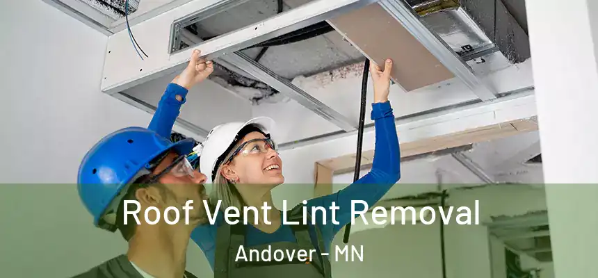 Roof Vent Lint Removal Andover - MN