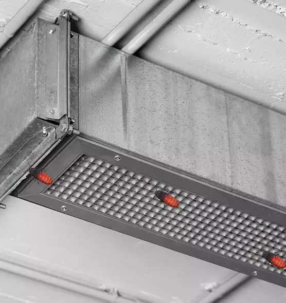 About Air Duct Cockroach Removal in Andover, MN