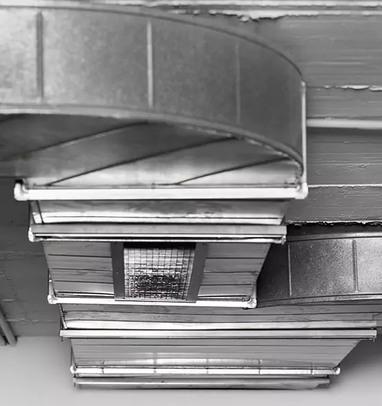 Professional Air Duct Pest Removal in Andover, MN