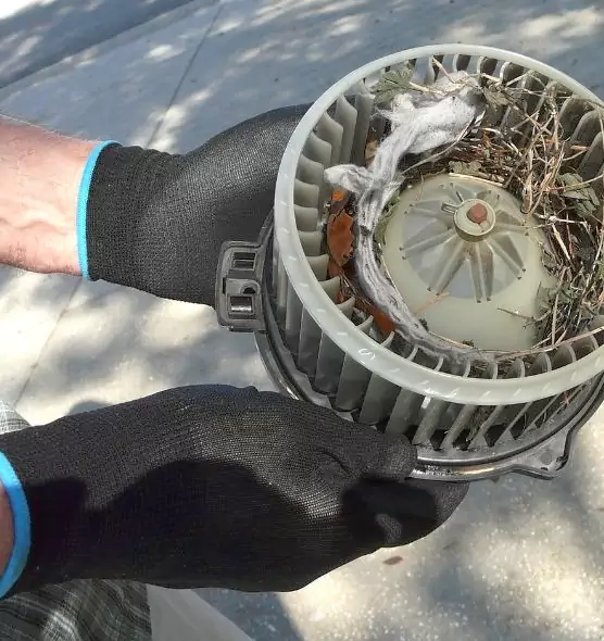 About Air Duct Rat Removal in Andover, MN