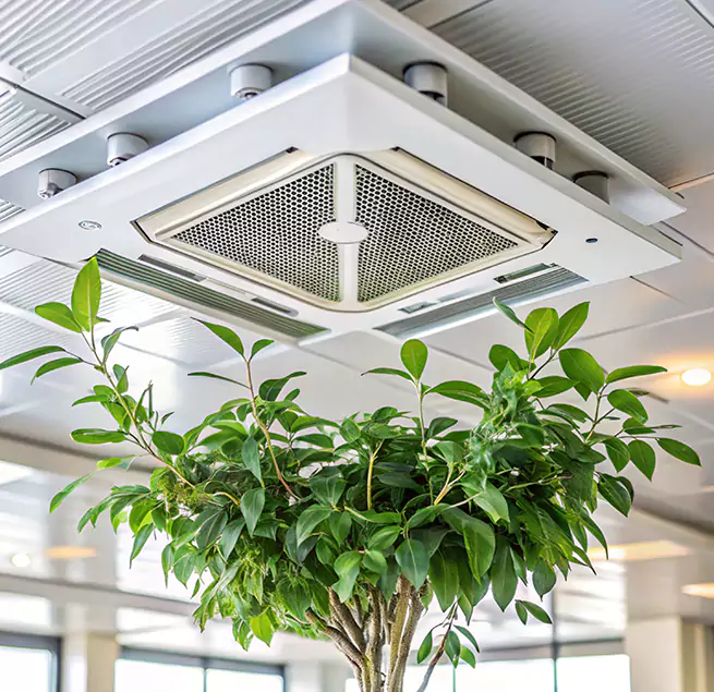 Why Homeowners & Businesses Trust Us in Andover, MN?