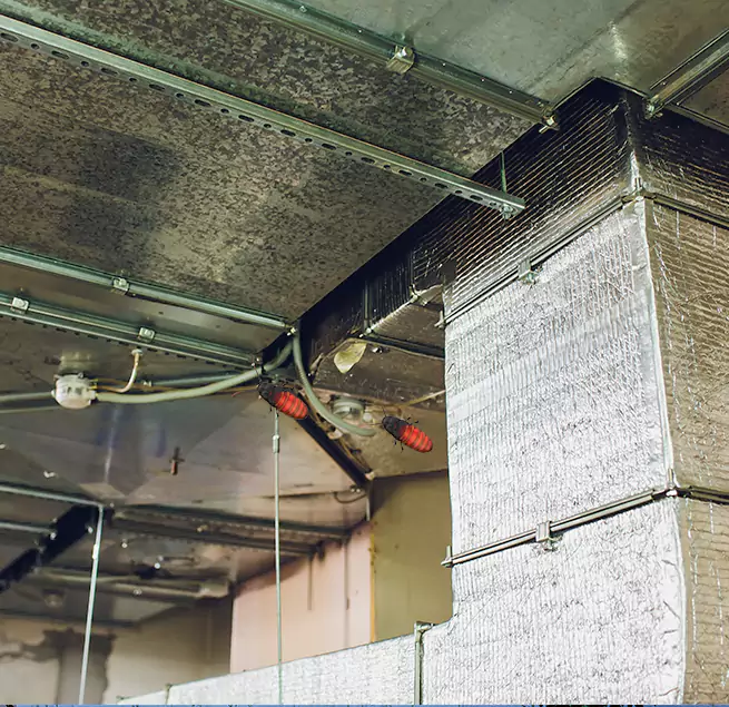 Why Homeowners & Businesses Trust Us Andover, MN?