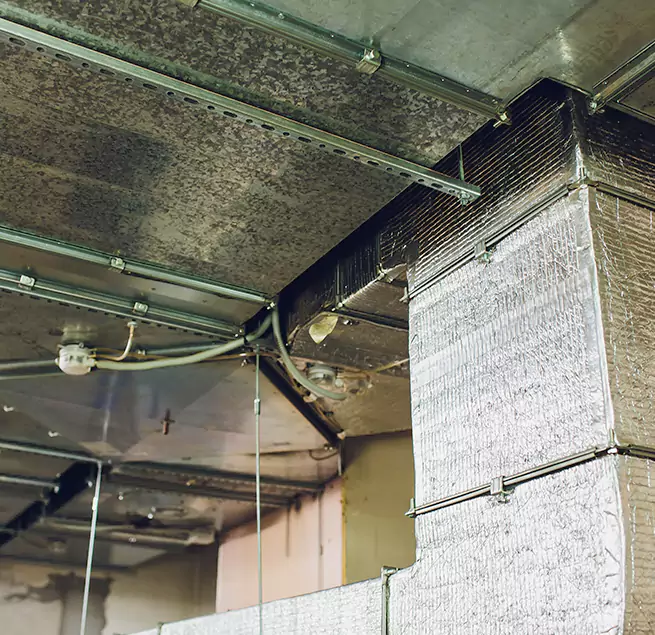 Why Homeowners & Businesses Trust Us in Andover, MN?