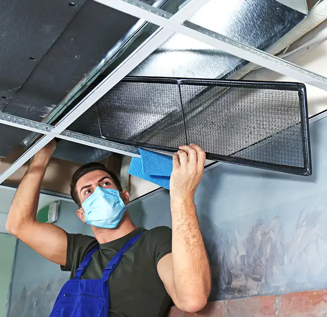 Why Homeowners & Businesses Trust Us in Andover, MN?