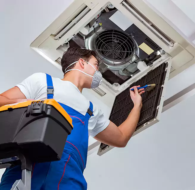 Why Homeowners & Businesses Trust Us in Andover, MN?